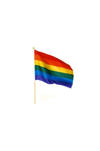 DRAPEAU RAINBOW 22X15 + BATON