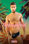 THOROUGHBRED