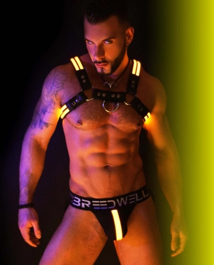 HARNAIS BULLDOG LED BREEDWELL JAUNE