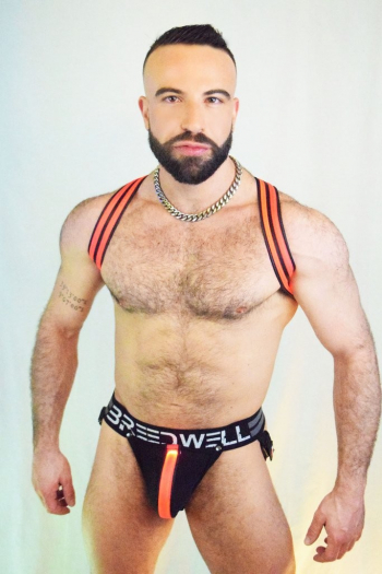 HARNAIS SHOULDER LED BREEDWELL ROUGE