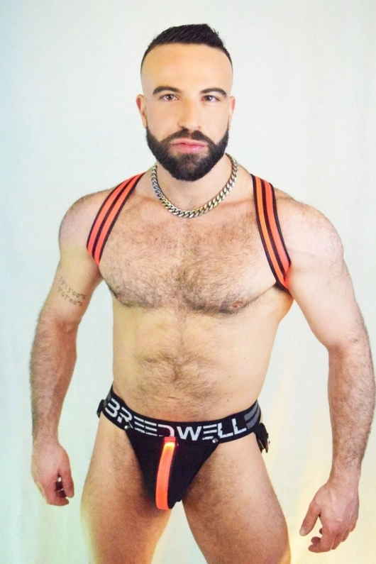 HARNAIS SHOULDER LED BREEDWELL ROUGE