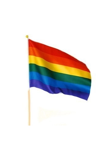 DRAPEAU RAINBOW 45X30 + BATON