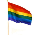 DRAPEAU RAINBOW 45X30 + BATON