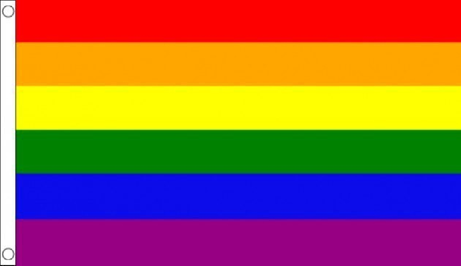 DRAPEAU RAINBOW 250X150