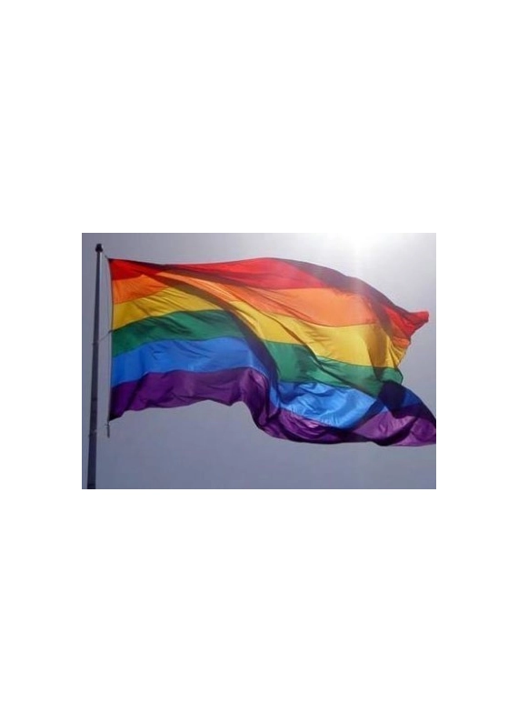 DRAPEAU RAINBOW 250X150