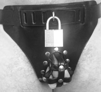 HARNAIS CEINTURE DE CHASTETE HARDCONCEPT