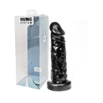 GODE JIMMY DE HUNG SYSTEM