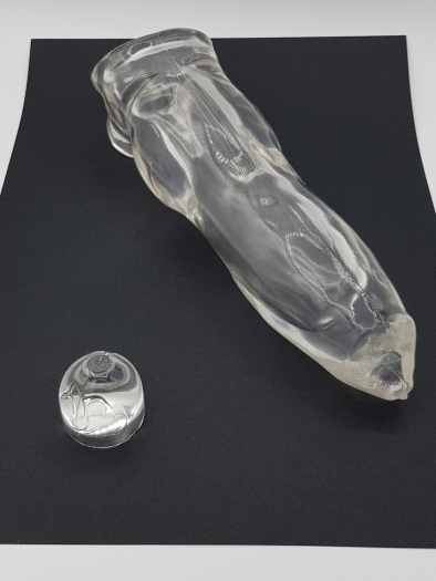 GODE ETUI FIDO TRANSPARENT