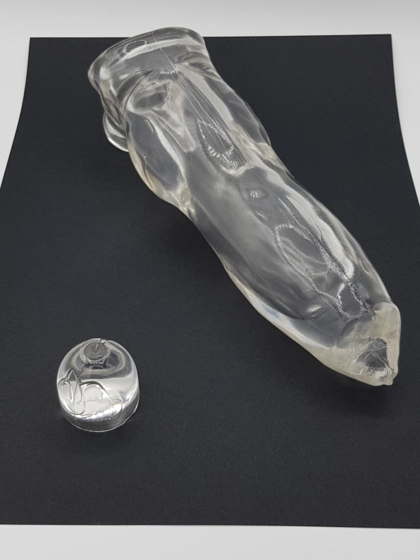 GODE ETUI FIDO TRANSPARENT