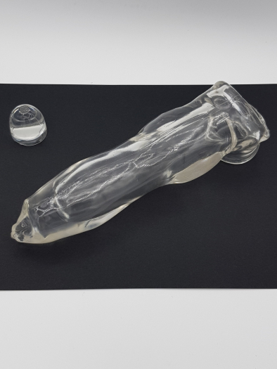 GODE ETUI FIDO TRANSPARENT