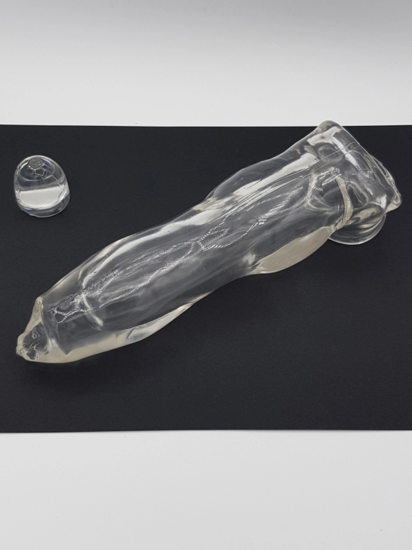 GODE ETUI FIDO TRANSPARENT