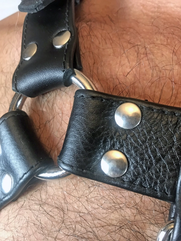 HARNAIS HOLSTER DELUXE EN CUIR SOUPLE IEM AVEC BOUCLES