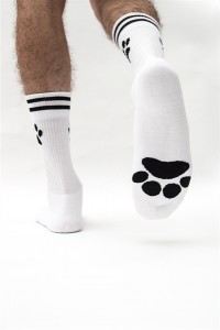 CHAUSSETTES PUPPY SK8ERBOY
