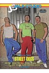 STREET DOGS
