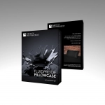 TAIE D'OREILLER KING SIZE