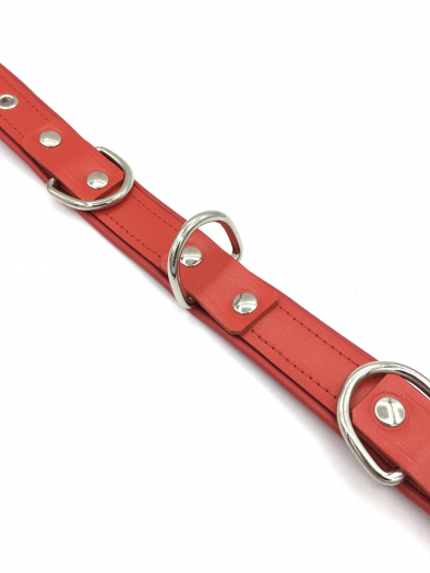 COLLIER AVEC ANNEAUX ROUGE DE LUXE