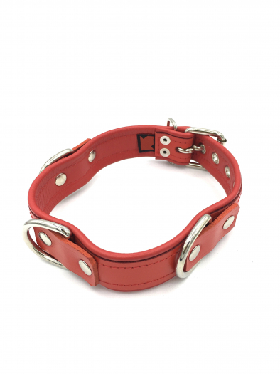 COLLIER AVEC ANNEAUX ROUGE DE LUXE