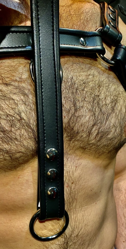 HARNAIS HOLSTER IEM NOIR EN CUIR