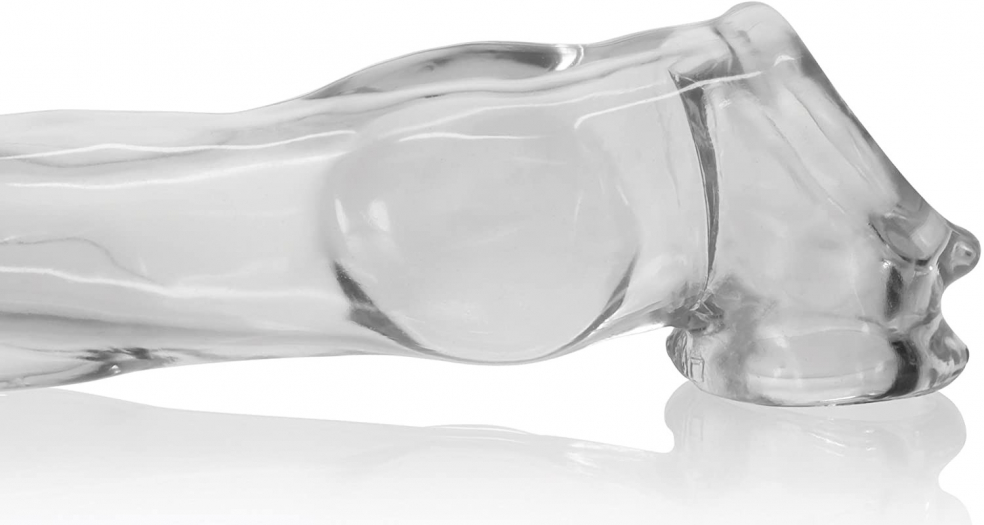 GODE ETUI FIDO TRANSPARENT