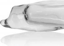 GODE ETUI FIDO TRANSPARENT