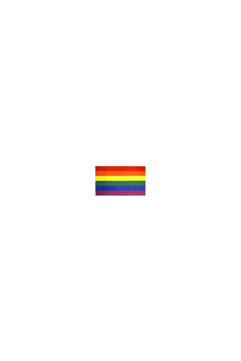 DRAPEAU RAINBOW 90X60
