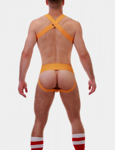 HARNAIS JAUNE MATT