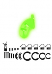 CAGE CHASTETE M20 NOIR/FLUO
