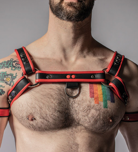 HARNAIS HOLSTER CROUTE AVEC LISERE ROUGE