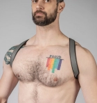 HARNAIS BUTTERFLY CUIR COULEUR