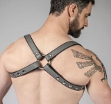 HARNAIS BUTTERFLY CUIR COULEUR