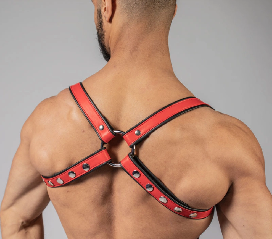 HARNAIS BUTTERFLY CUIR COULEUR