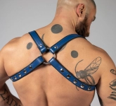 HARNAIS BUTTERFLY CUIR COULEUR