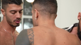 WELL BRED RAGING STALLION