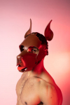 TETE DE CHIEN NOIRE/ROUGE IEM