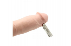 PINCES CLAMP BOUT BLANC ET 1 VIS