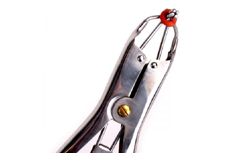 KIT ELASTRATOR
