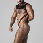 HARNAIS GRAB IT DE LOCKER GEAR