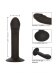 GODE COURBÉ ANAL STUD DE CALEXOTICS