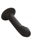 GODE COURBÉ ANAL STUD DE CALEXOTICS