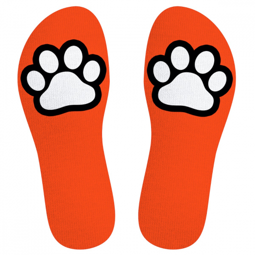 CHAUSSETTES SNEAKXX PUPPY PAW