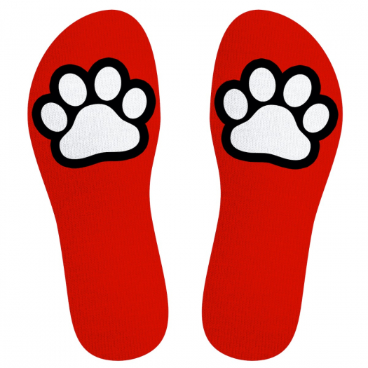 CHAUSSETTES SNEAKXX PUPPY PAW
