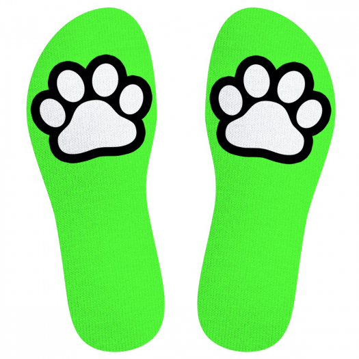 CHAUSSETTES SNEAKXX PUPPY PAW
