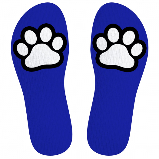 CHAUSSETTES SNEAKXX PUPPY PAW