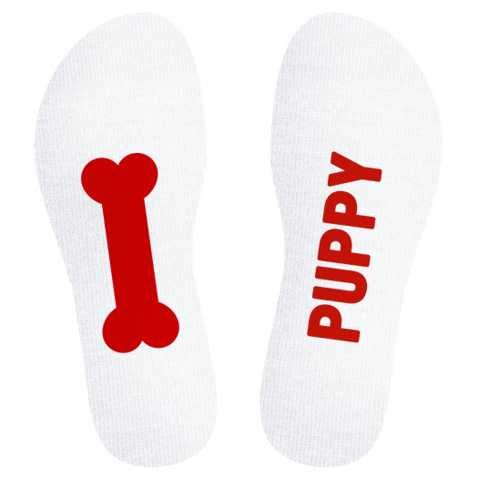 CHAUSSETTES SNEAKXX PUPPY PRIDE