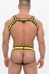 HARNAIS SPARTA ARMY JAUNE