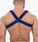 HARNAIS SPARTA ZEUS – BLEU