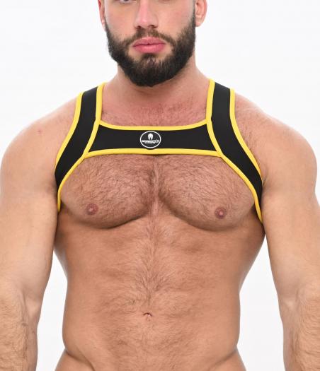 HARNAIS SPARTA ZEUS JAUNE
