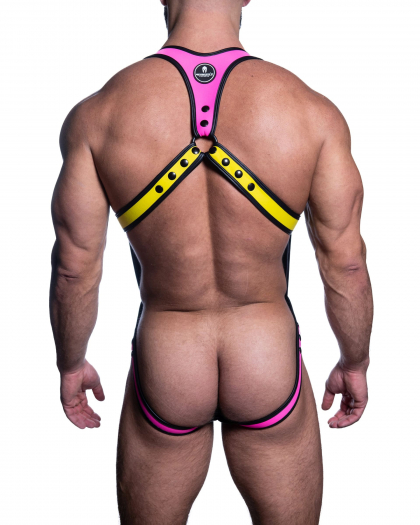 HARNAIS SPARTA DIONISIO – MULTICOLORE