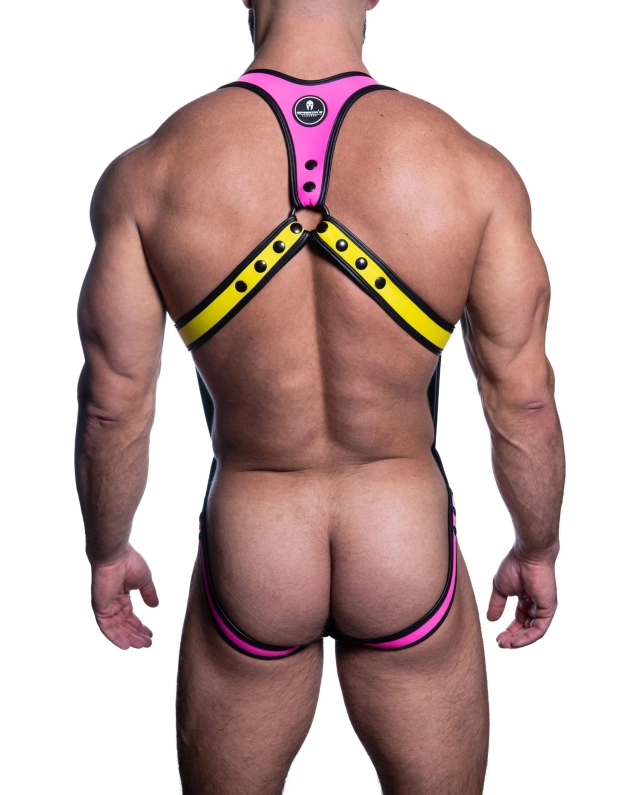 HARNAIS SPARTA DIONISIO – MULTICOLORE