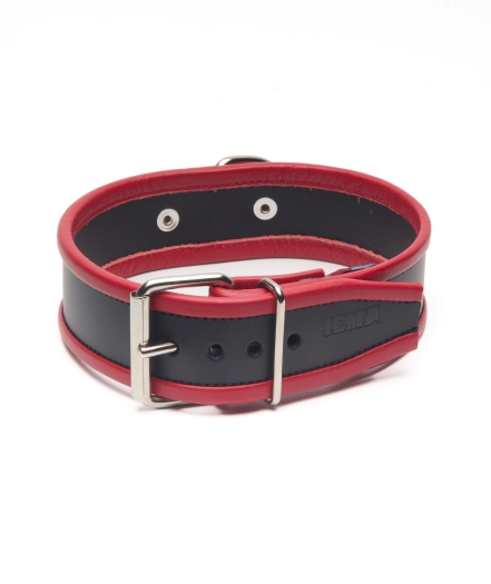 COLLIER EN CUIR IEM AVEC ANNEAU - ROUGE